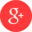 Google+ Icon